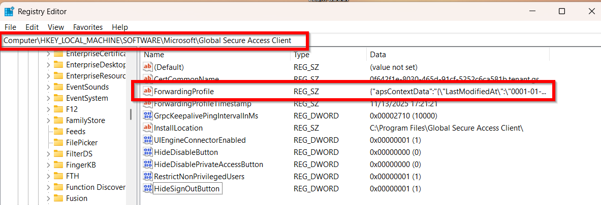 Picture 7: Forwarding-Profile in Registry