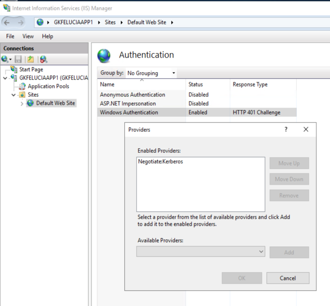 Picture 11: Kerberos-only at the IIS