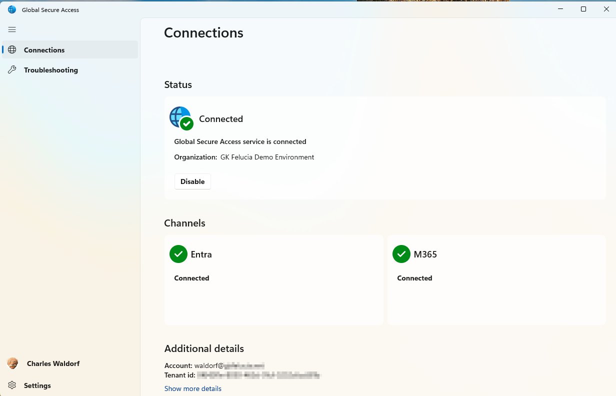 Picture 4: Connected Client