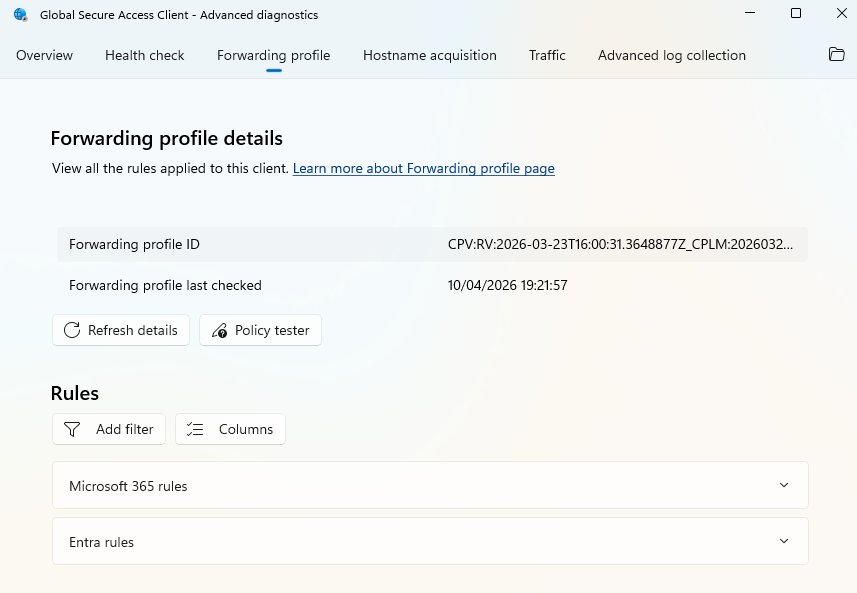 Picture 5: Client Diagnostics