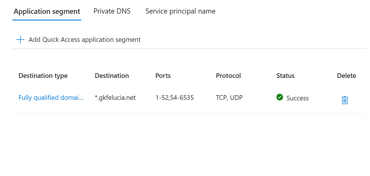 A wildcard FQDN application segment