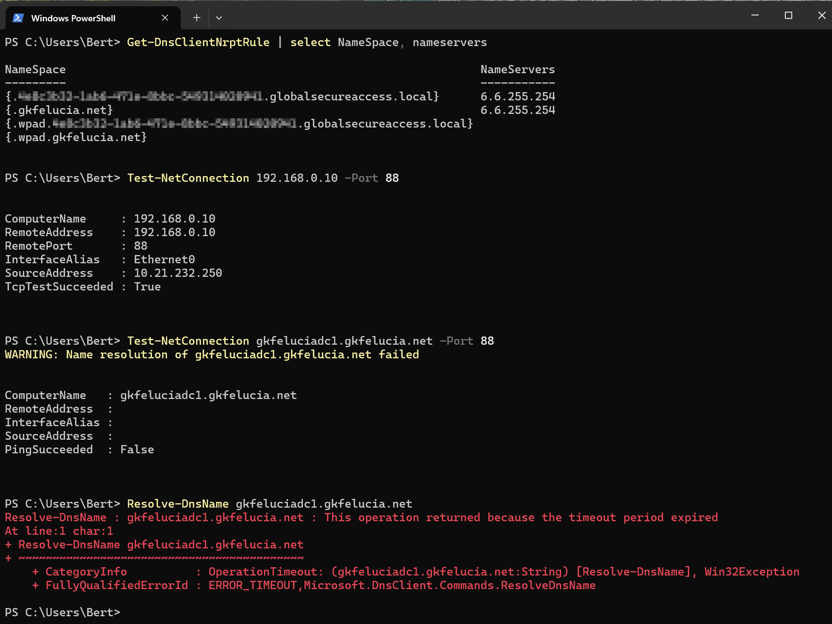 Resolve-DnsName times out